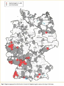 Geographische Verteilung der auf den großen Lungenwurm (Angiostrongylus vasorum) untersuchten Gebiete und befallener Hunde (bis März 2009)