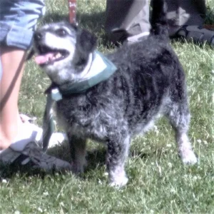 Eine kleine, sehr sehr alte Lady von 24 Jahren