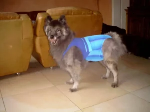 Sitzt wie angegossen, ist für den Hund sehr bequem und waschbar.