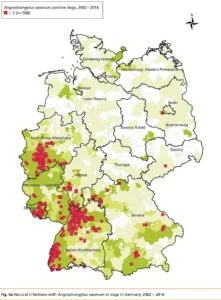 Geographische Verteilung von Befallszahlen mit dem großen Lungenwurm (Angiostrongylus vasorum) bis 2016