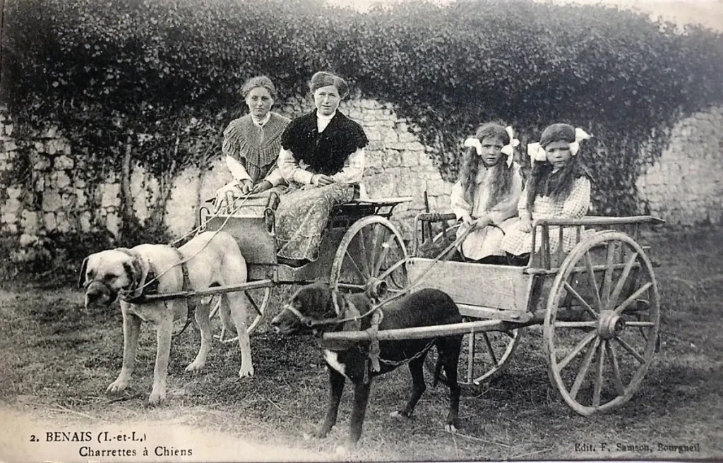 Antike französische Postkarte Charrettes à Chien Dog, Doggen, um 1900