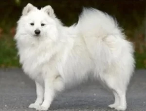 Bild 02
