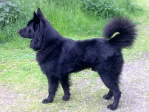 Bild 06