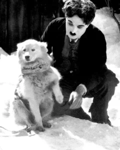 Charles Chaplin mit Spitz
(Film "Goldrausch" von 1925)