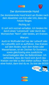 Ein typisches Beispiel für missverstandenes Hundeverhalten
(Screenshot von einer Hundeschul-Seite!)