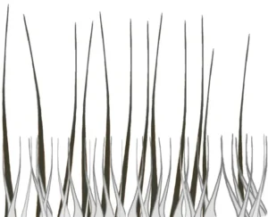 Langes Fell
Vereinfachter schematischer Aufbau