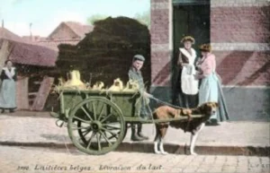 Hundemilchkarren 1909