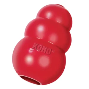Kong