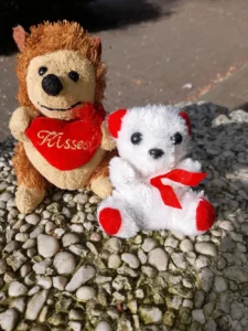 Unser mittlerweile vielfach liebevoll abgelutsches Ersatzwelpenpaar "Igelchen" und "Bärli"