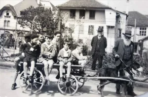 Zughundeprüfung 1913 in Langenthal,
Foto: Albert‐Heim‐Stiftung