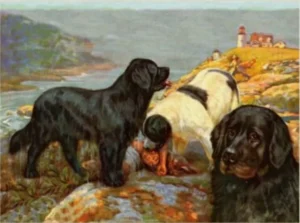 Neufundländer
Gemälde von Edward Herbert Miner (1882 - 1941)