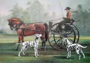 Dalmatians and Carriage
Bild von Vic Granger, um 1975